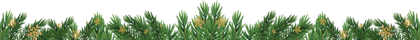 footer-fesive